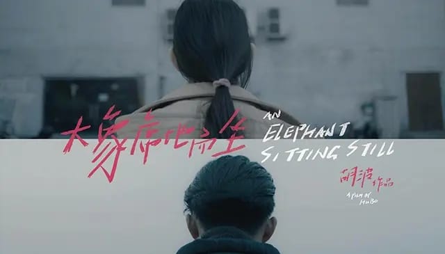 《大象席地而坐》值得深思的语录